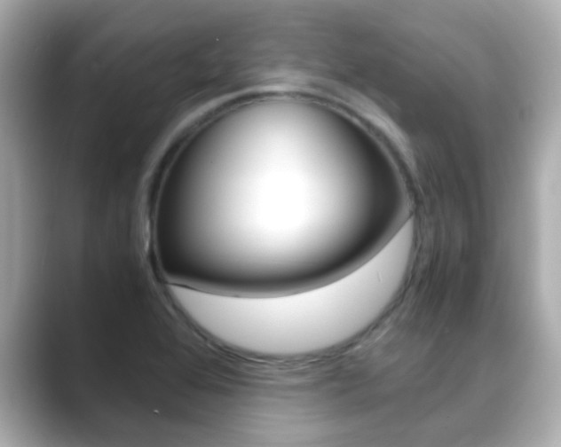 X0000089691368200706210825