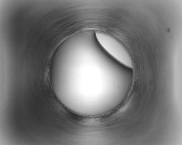X0000089691369200706210825