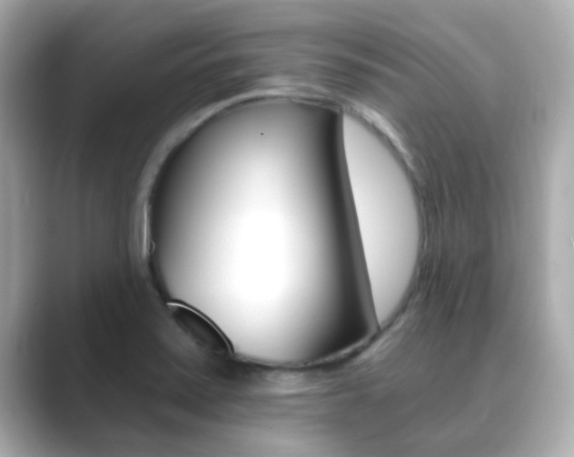 X0000089691371200706210825