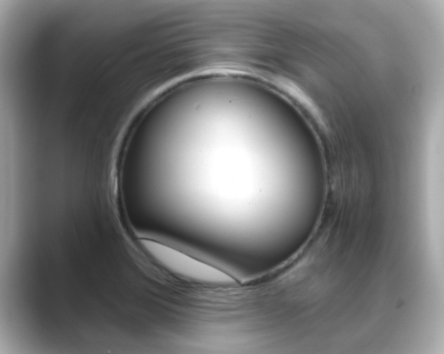 X0000089691372200706210825