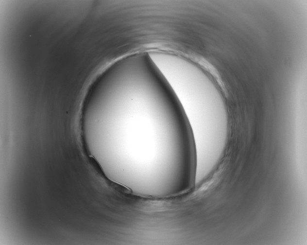 X0000089691373200706210825