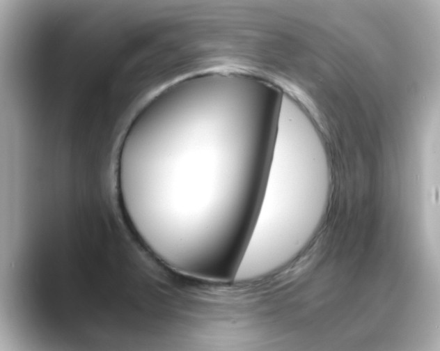 X0000089691375200706210825