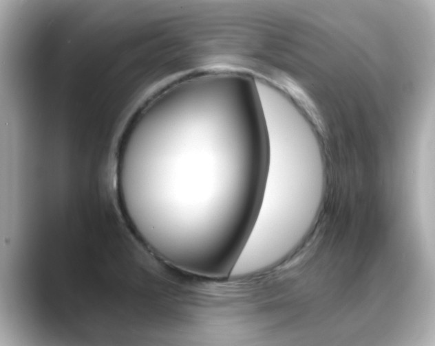 X0000089691376200706210825
