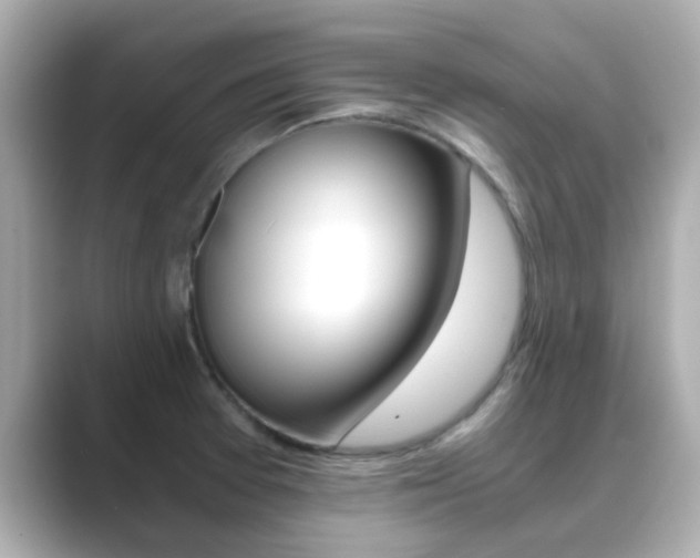 X0000089691377200706210825