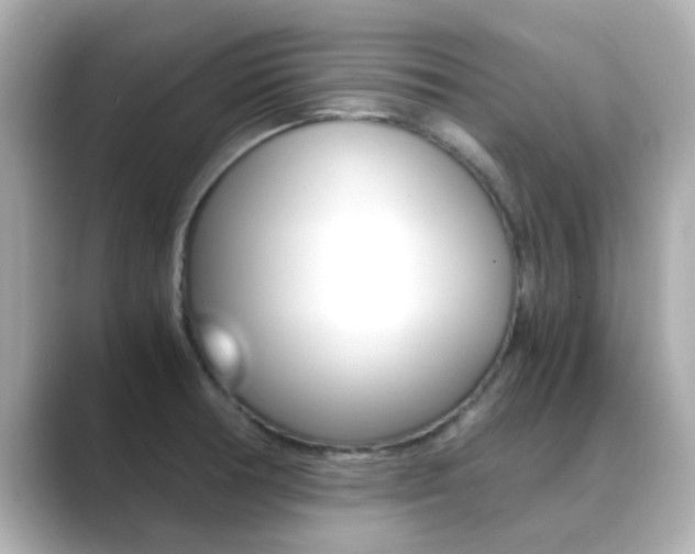 X0000089691378200706210825