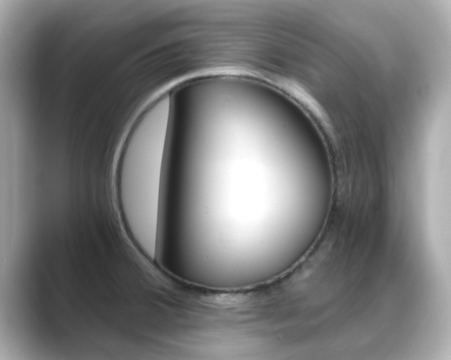 X0000089691380200706210825