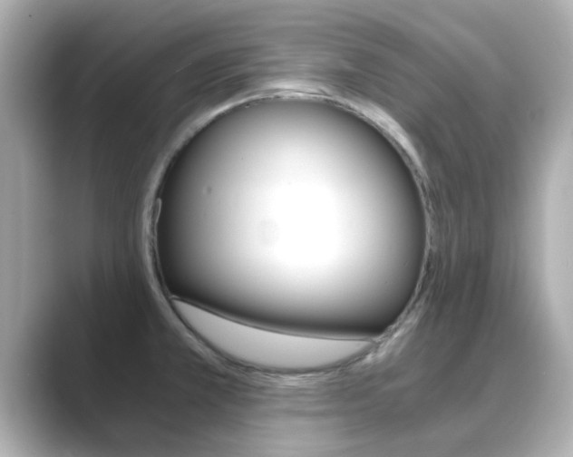 X0000089691381200706210825