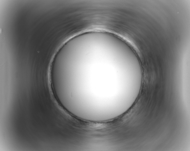 X0000089691382200706210825