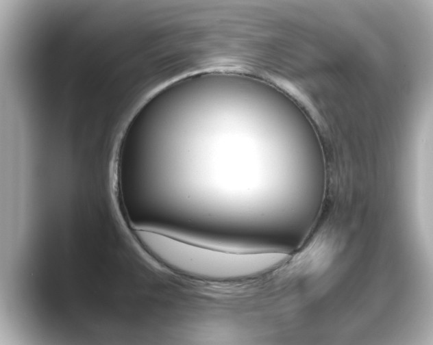 X0000089691383200706210825