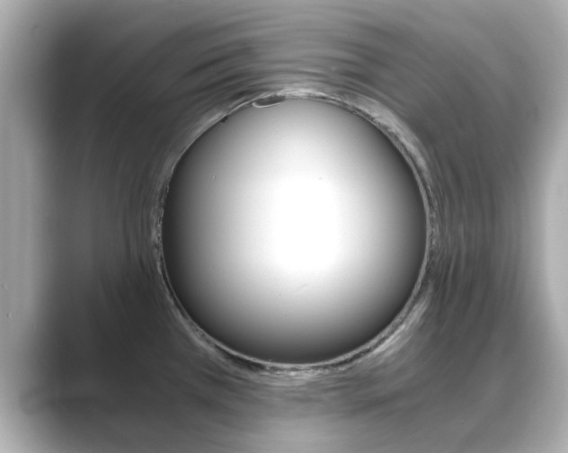 X0000089691385200706210825
