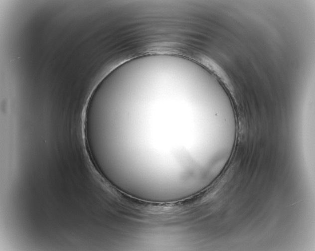X0000089691386200706210825