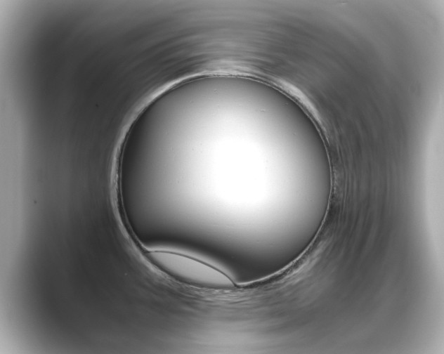 X0000089691387200706210825