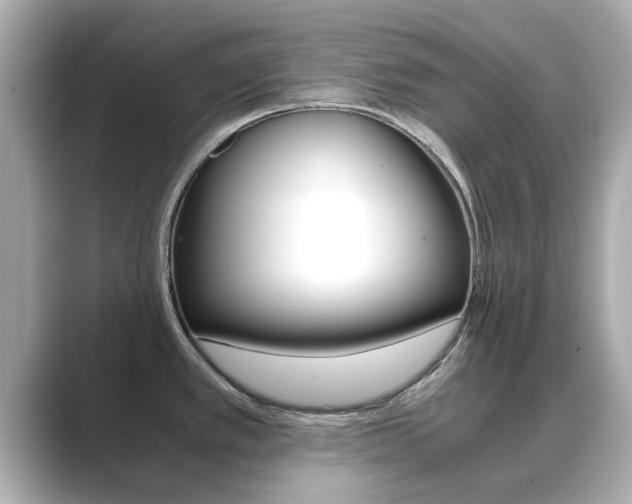 X0000089691389200706210825