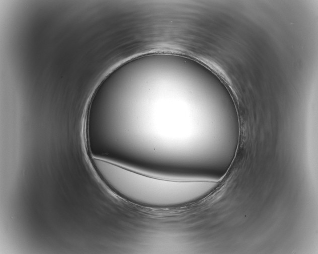 X0000089691391200706210825
