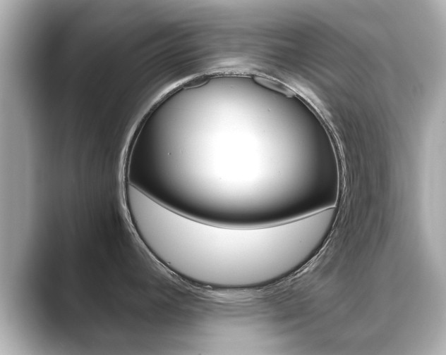 X0000089691392200706210825