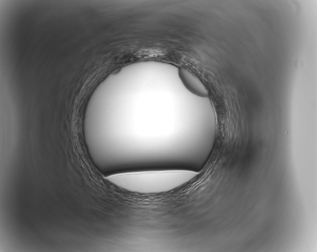 X0000089691393200706210825
