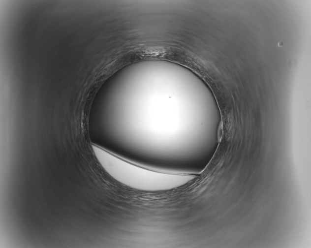 X0000089691394200706210825