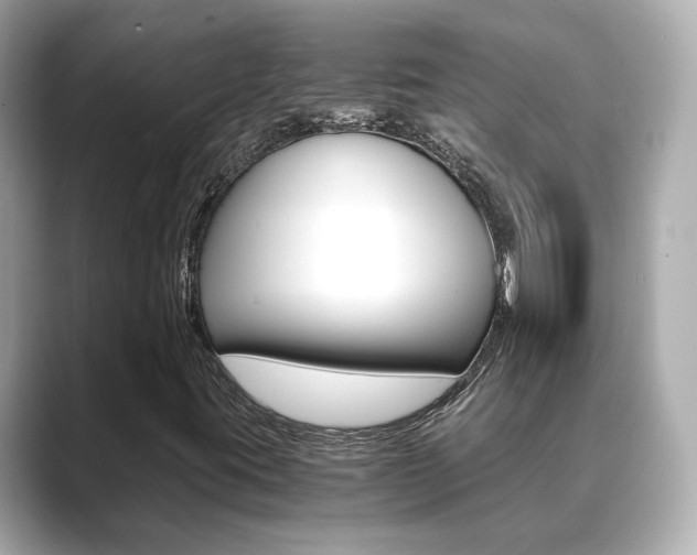 X0000089691395200706210825