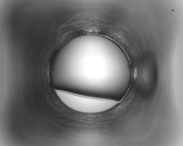 X0000089691396200706210825