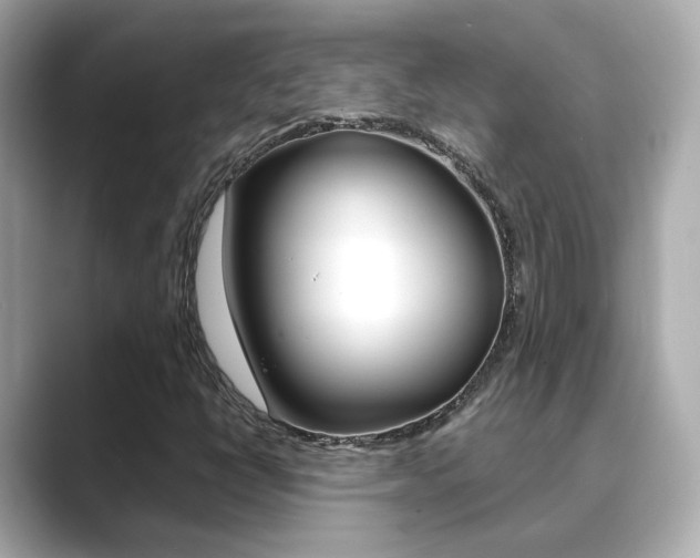 X0000089691398200706210825