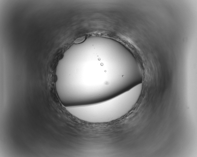X0000089691399200706210825