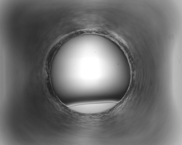 X0000089691400200706210825