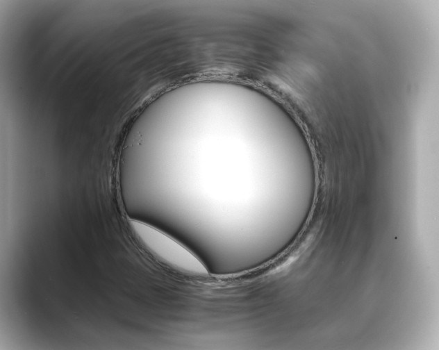 X0000089691401200706210825
