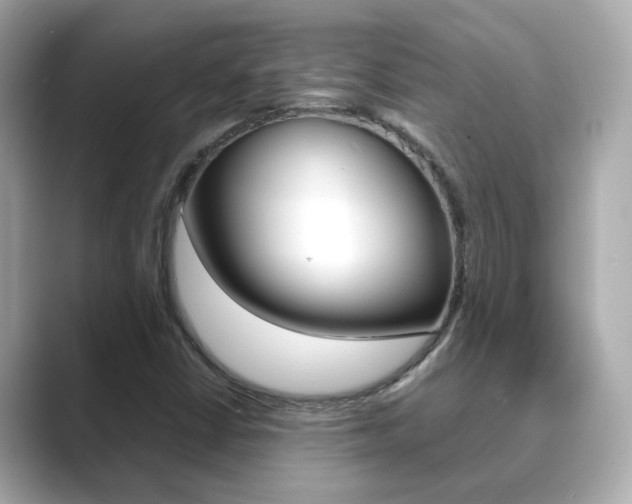 X0000089691402200706210825
