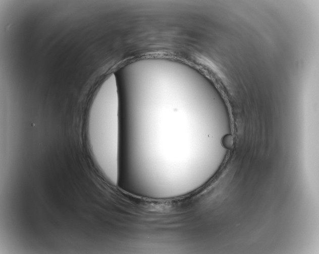 X0000089691403200706210825