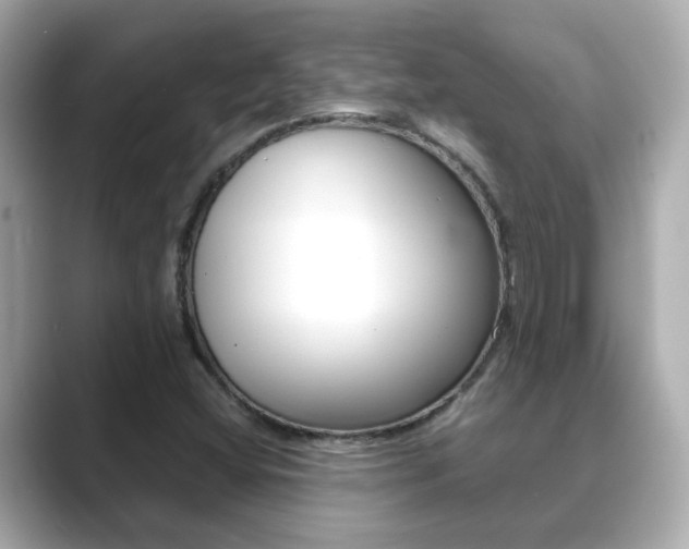 X0000089691404200706210825