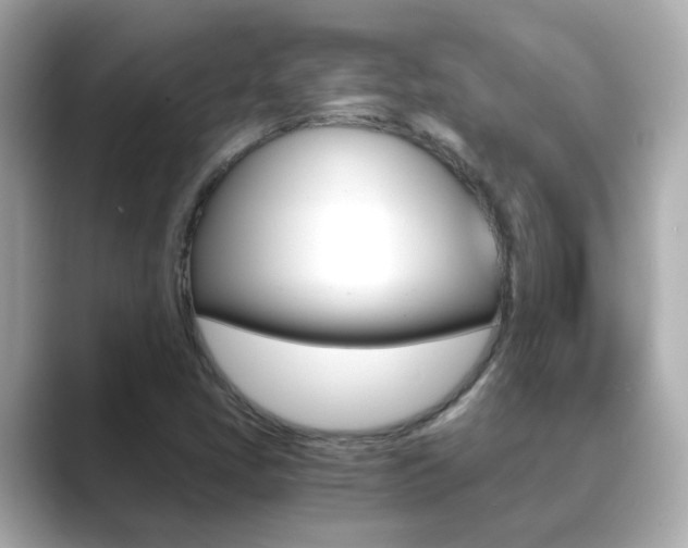X0000089691405200706210825