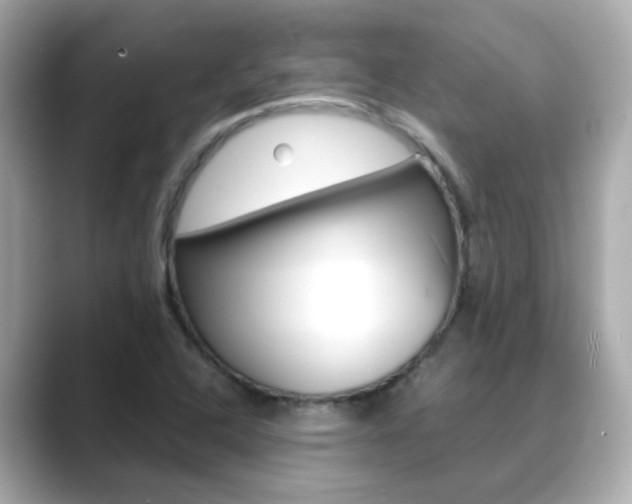 X0000089691408200706210825