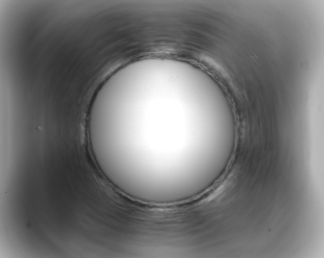 X0000089691409200706210825