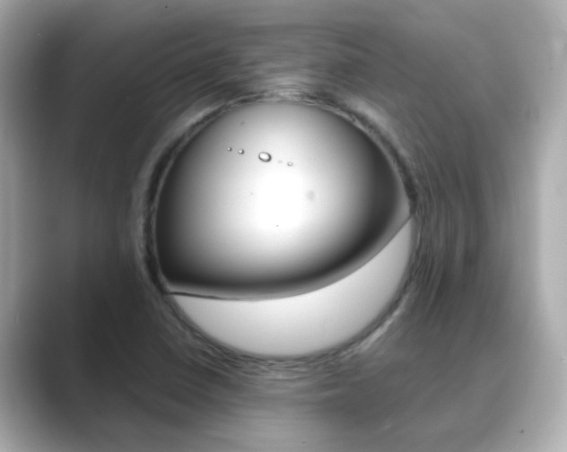 X0000089691410200706210825