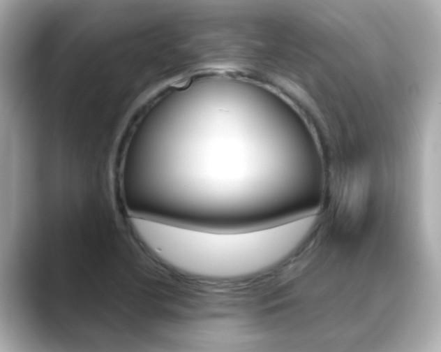 X0000089691412200706210825