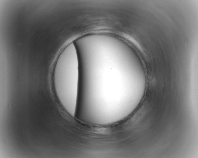X0000089691413200706210825