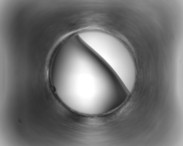 X0000089691416200706210825