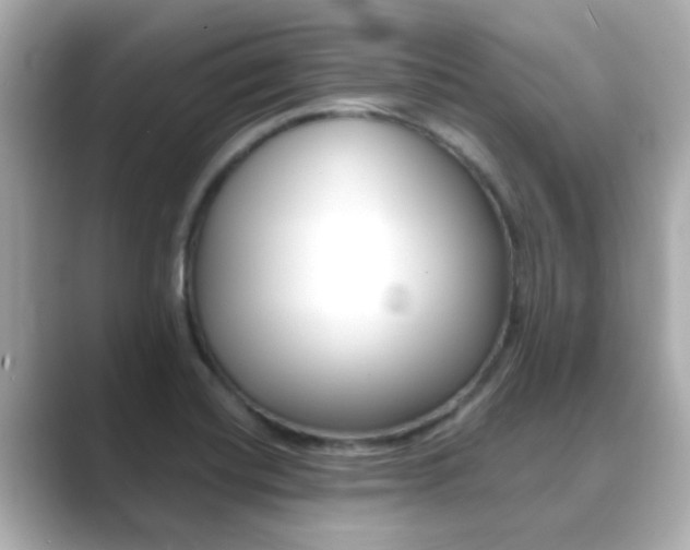 X0000089691420200706210825