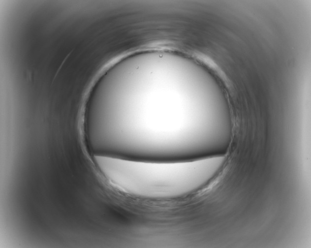 X0000089691421200706210825