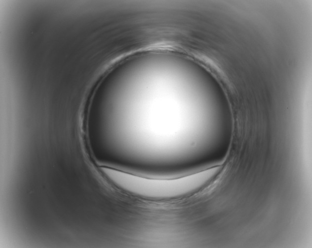 X0000089691422200706210825