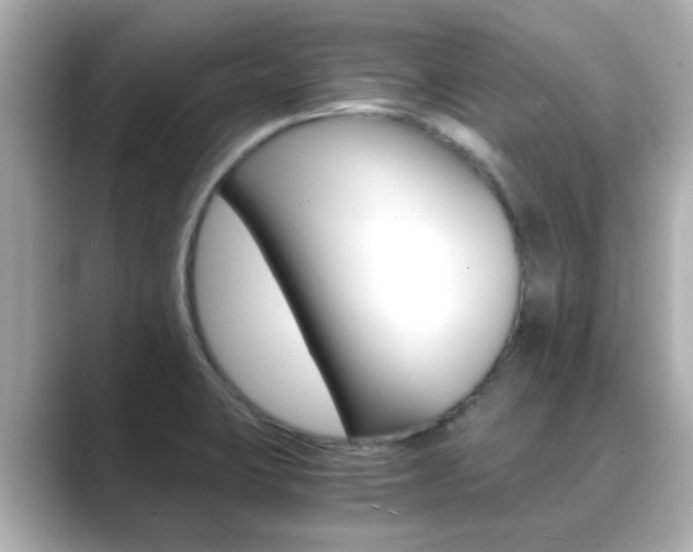 X0000089691423200706210825