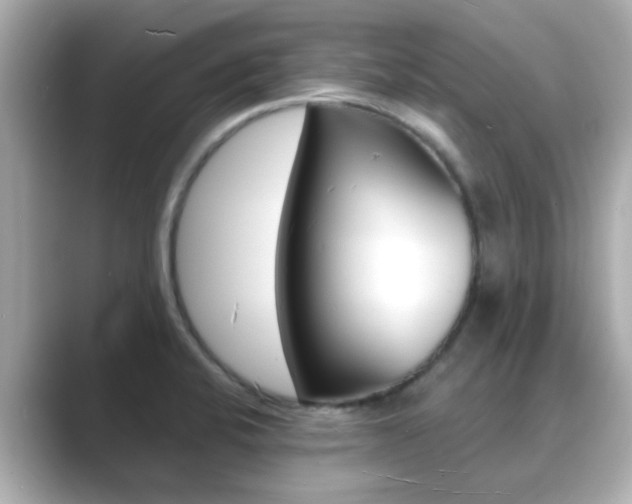 X0000089691424200706210825