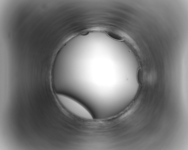 X0000089691425200706210825