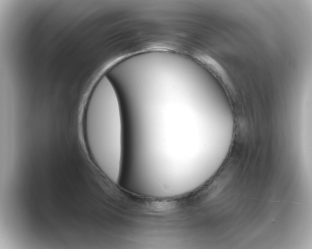 X0000089691427200706210825