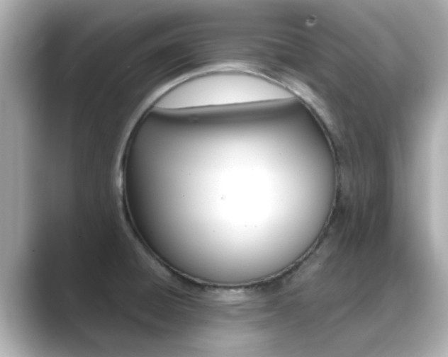 X0000089691428200706210825