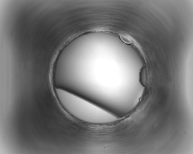 X0000089691429200706210825