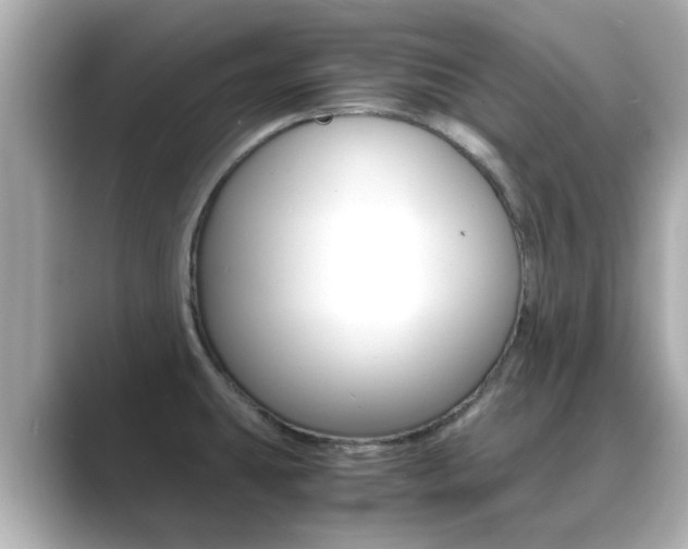 X0000089691431200706210825