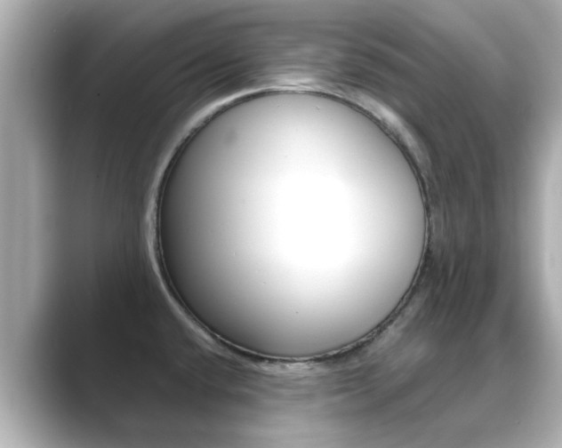 X0000089691432200706210825