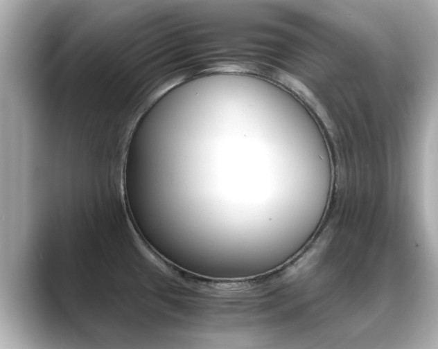 X0000089691433200706210825