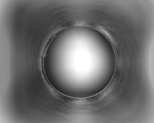 X0000089691434200706210825